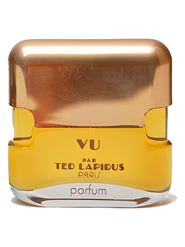 Vu par Ted Lapidus