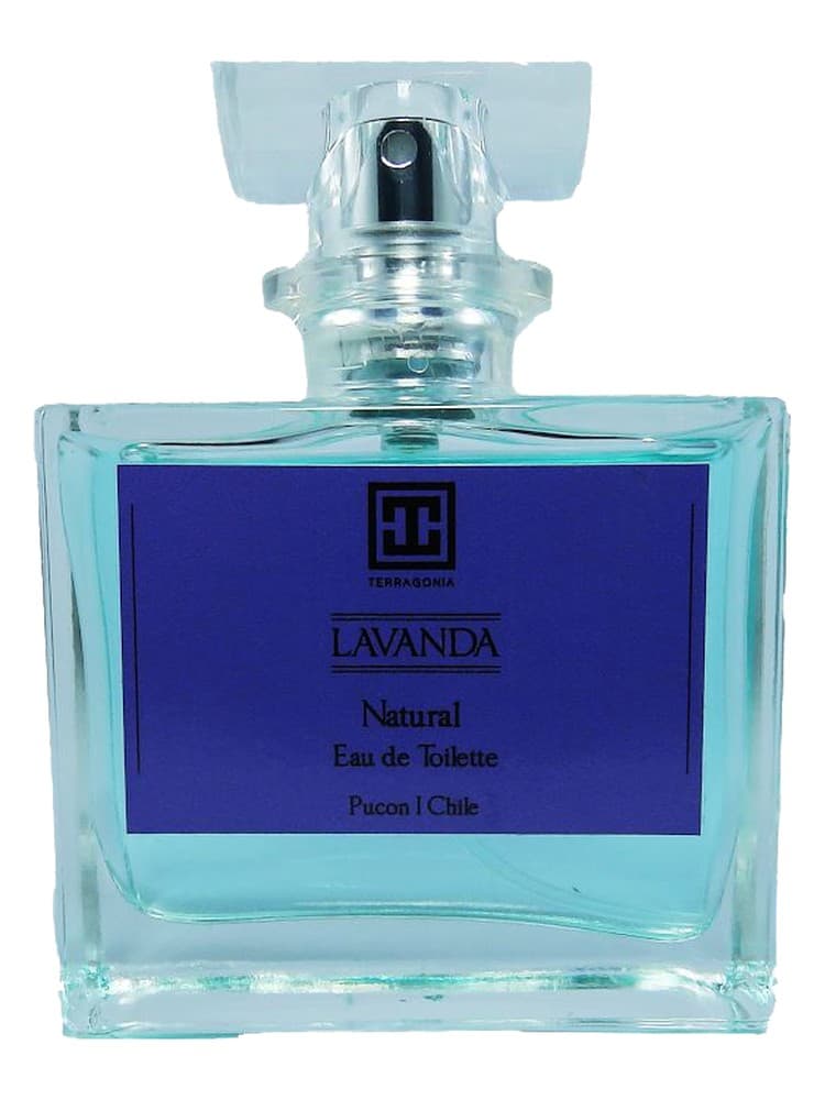 Lavanda