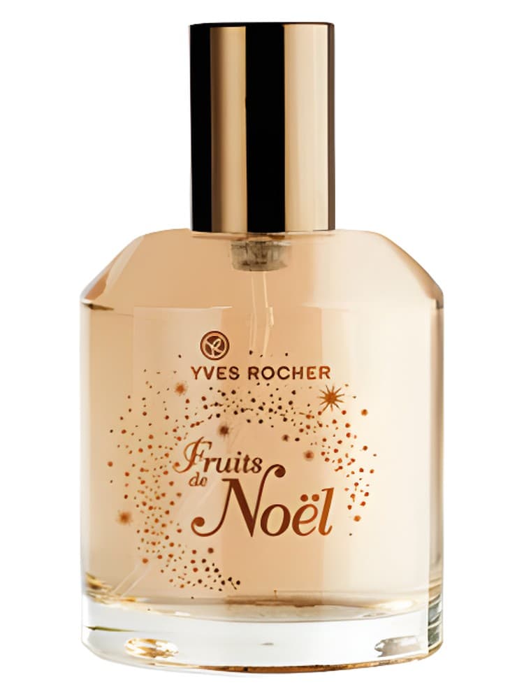 Fruits de Noel Orange Chocolat