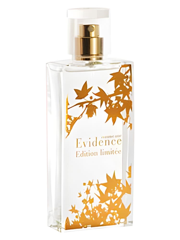 Comme Une Evidence Limited Edition 2008