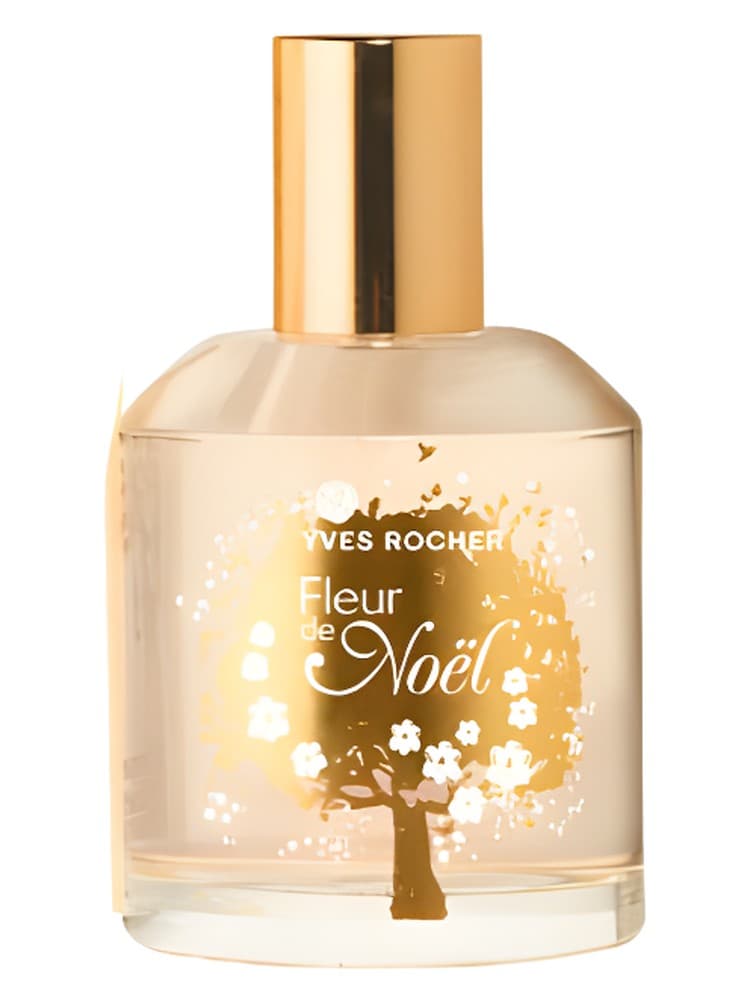 Fleur de Noel 2011