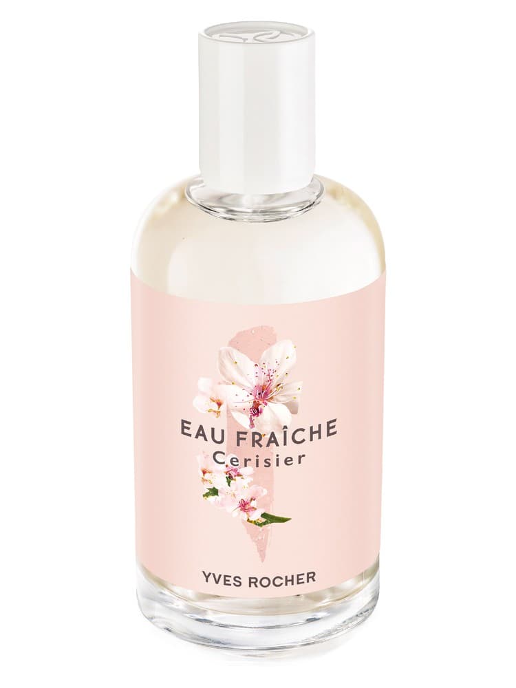 Cerisier Cherry Blossom