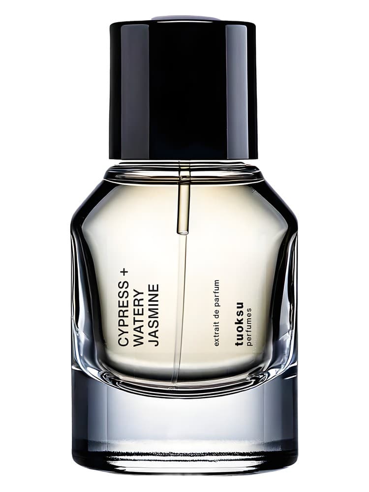 Cypress Watery Jasmine