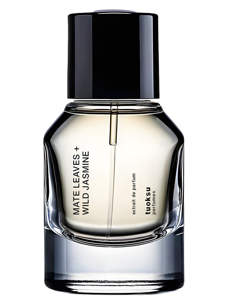 Mate Leaves Wild Jasmine