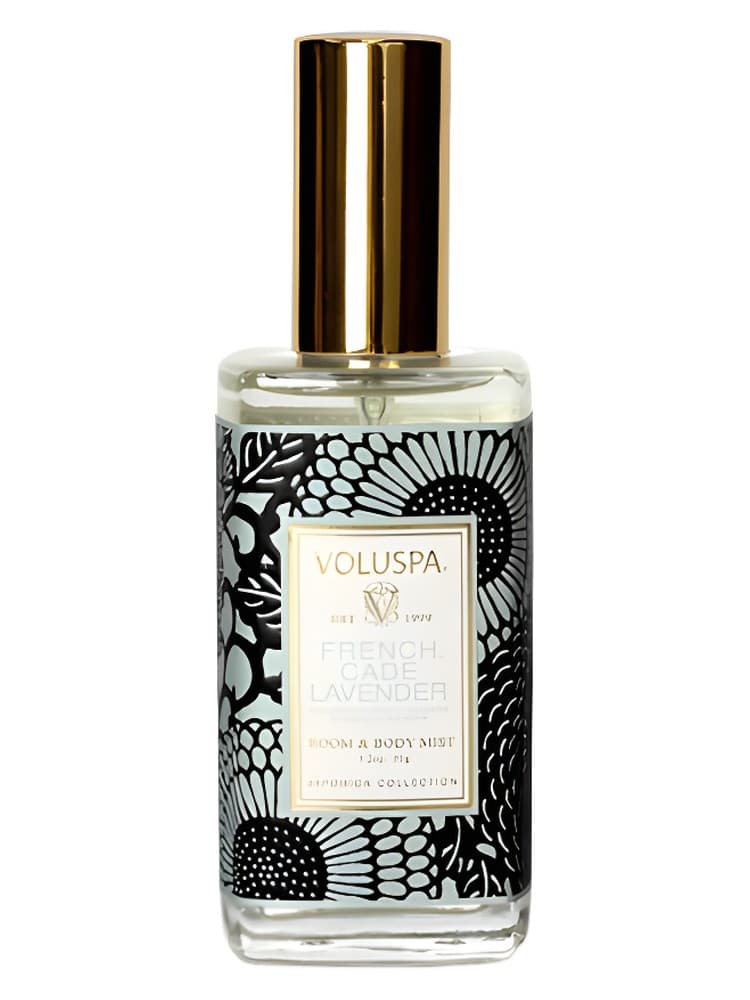 French Cade Lavender