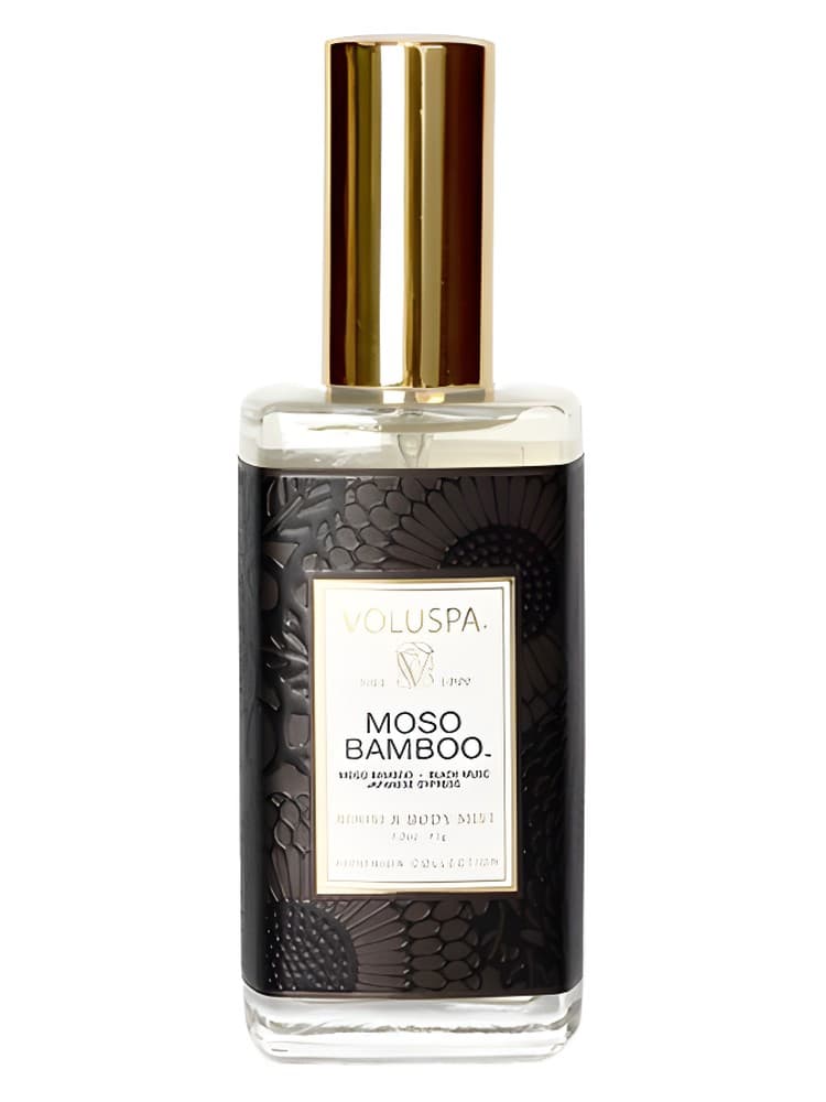 Moso Bamboo