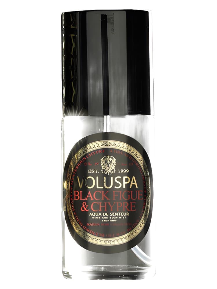 Black Figue Chypre
