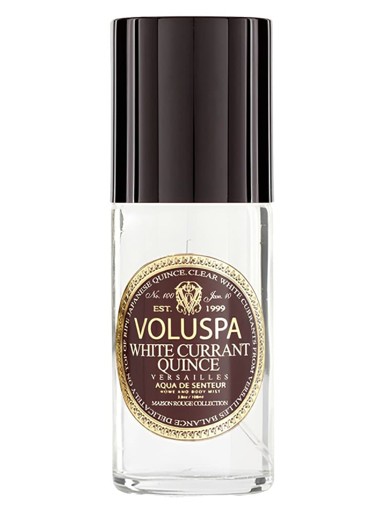 White Currant Quince Versailles