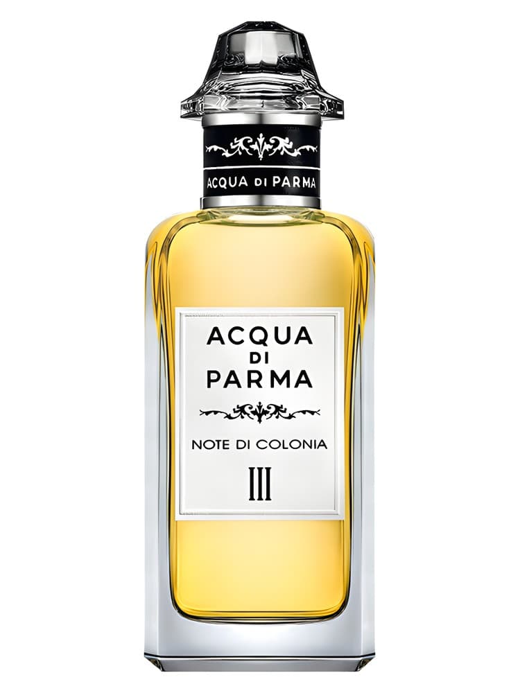 Note di Colonia III