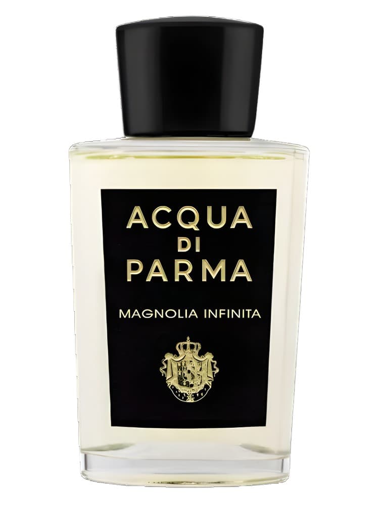 Magnolia Infinita