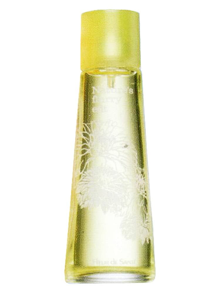 Natures Summer Flurry