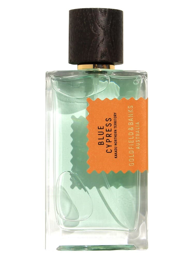 Blue Cypress