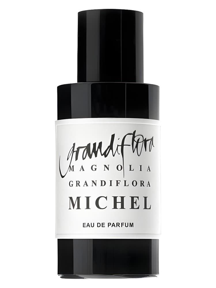 Magnolia Grandiflora Michel
