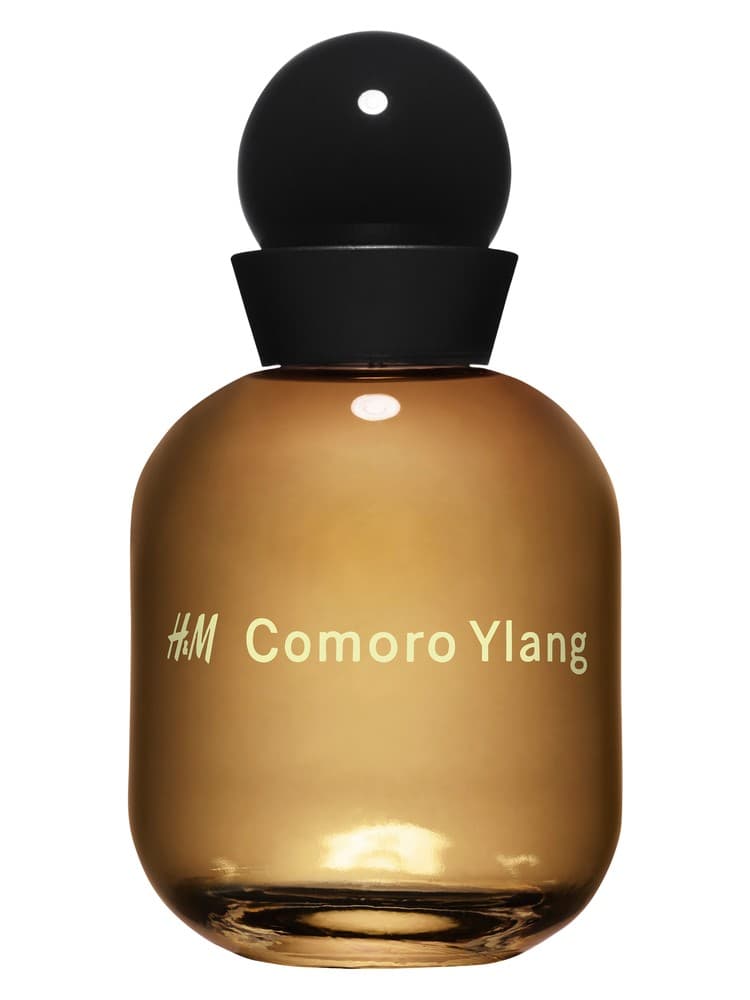H M Comoro Ylang