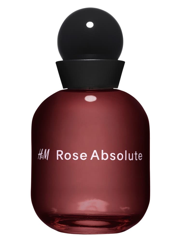 H M Rose Absolute