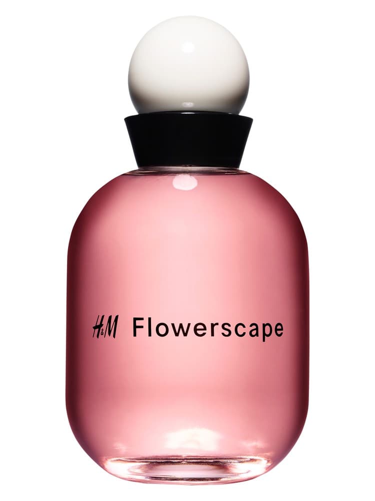 H M Flowerscape