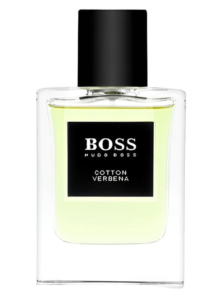 BOSS The Collection Cotton Verbena