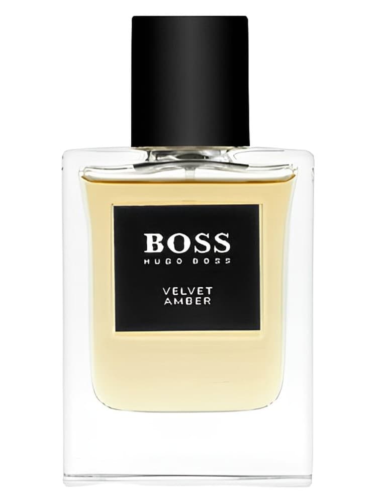 BOSS The Collection Velvet Amber