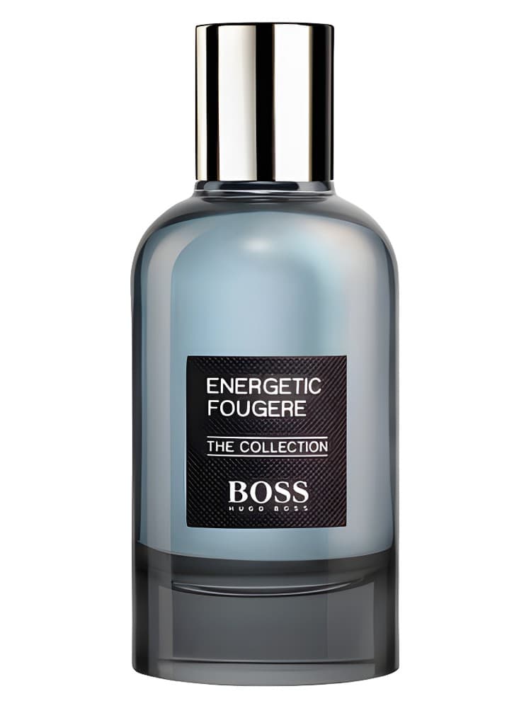 The Collection Energetic Fougere