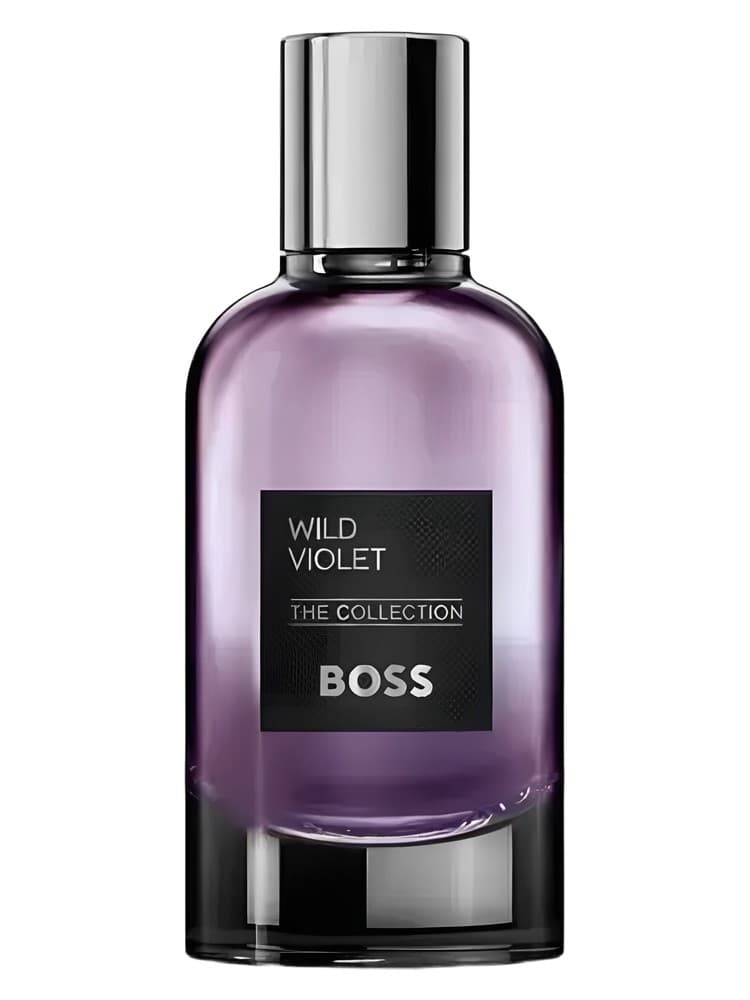 The Collection Wild Violet