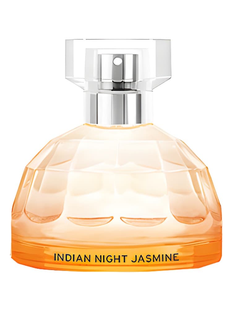 Indian Night Jasmine