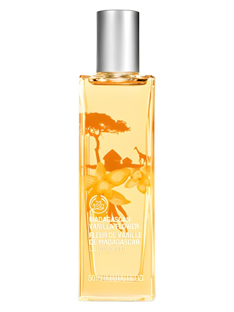 Madagascan Vanilla Flower