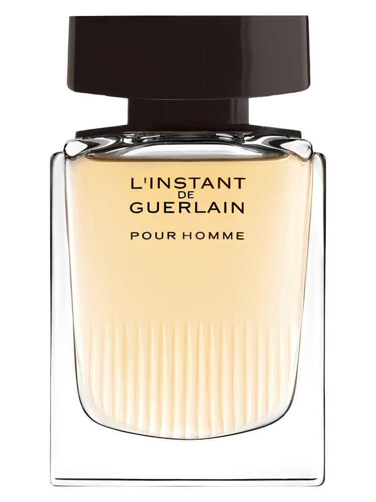 L Instant de Guerlain pour Homme