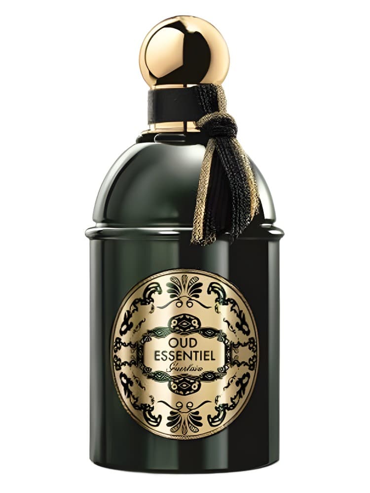 Les Absolus d Orient Oud Essentiel