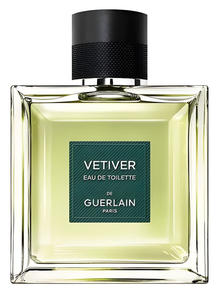 Vetiver
