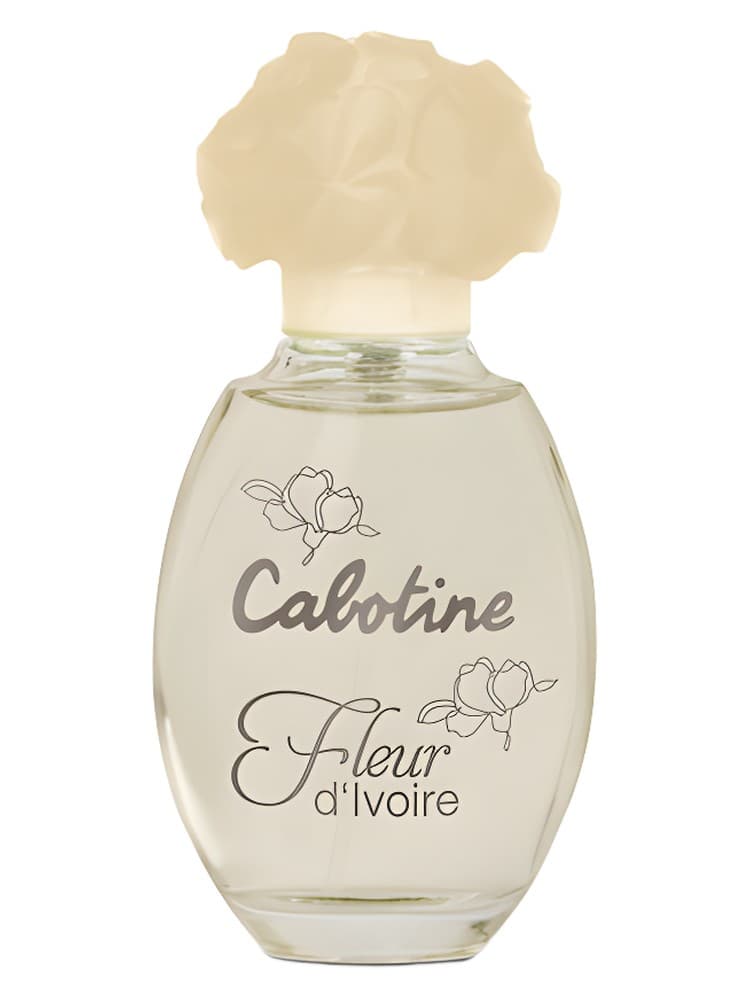 Cabotine Fleur d Ivoire
