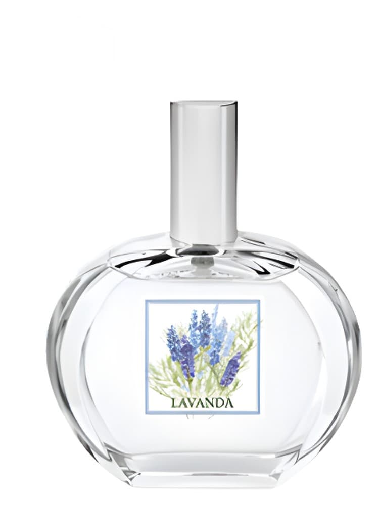 Lavanda