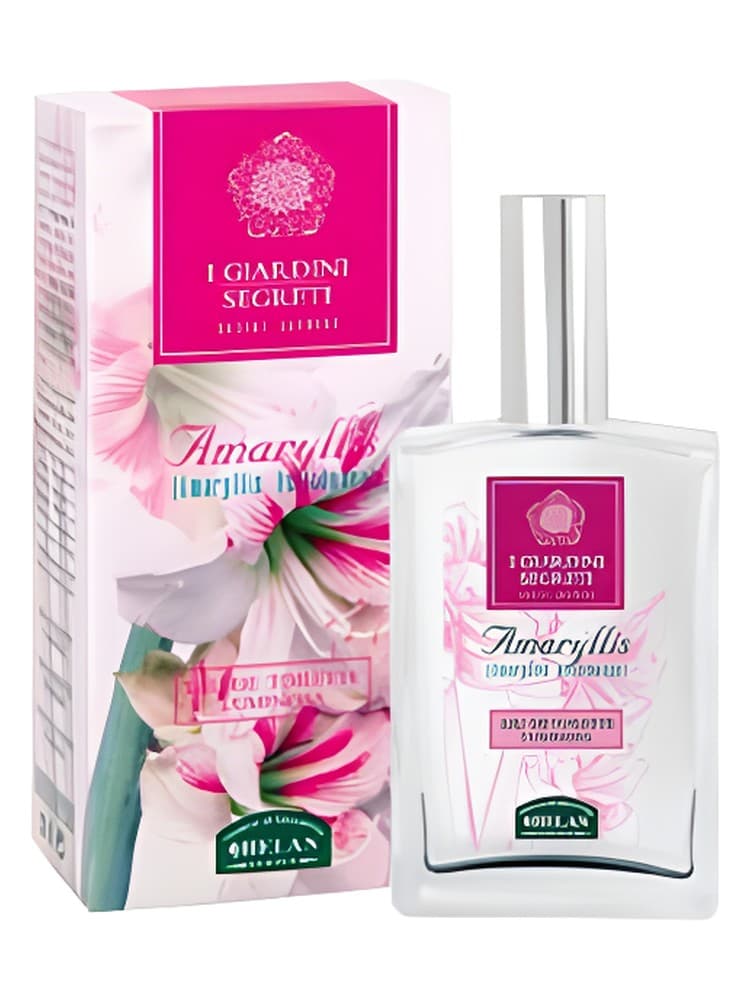 Amaryllis
