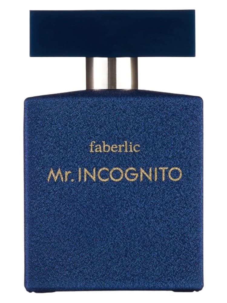 Mr Incognito