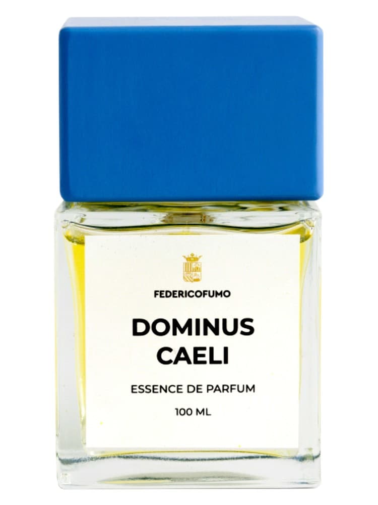 Dominus Caeli