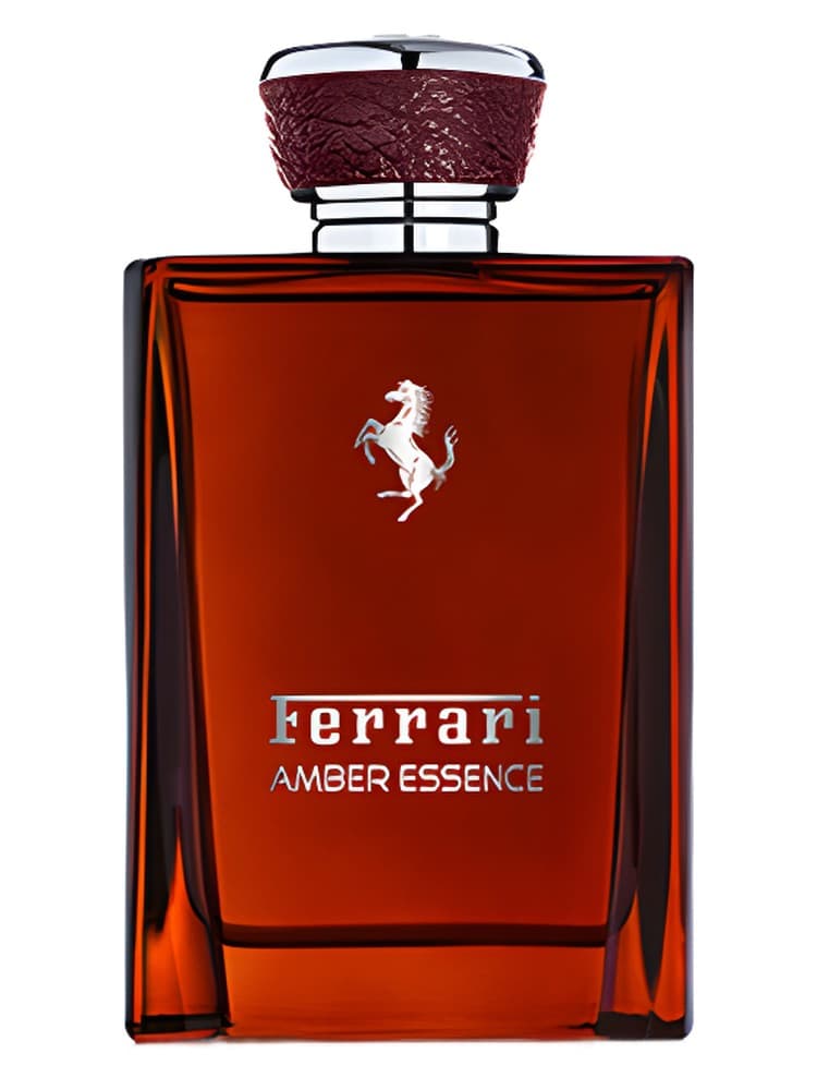 Amber Essence 2016