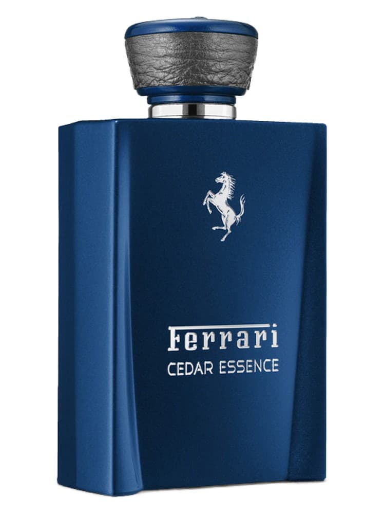 Cedar Essence