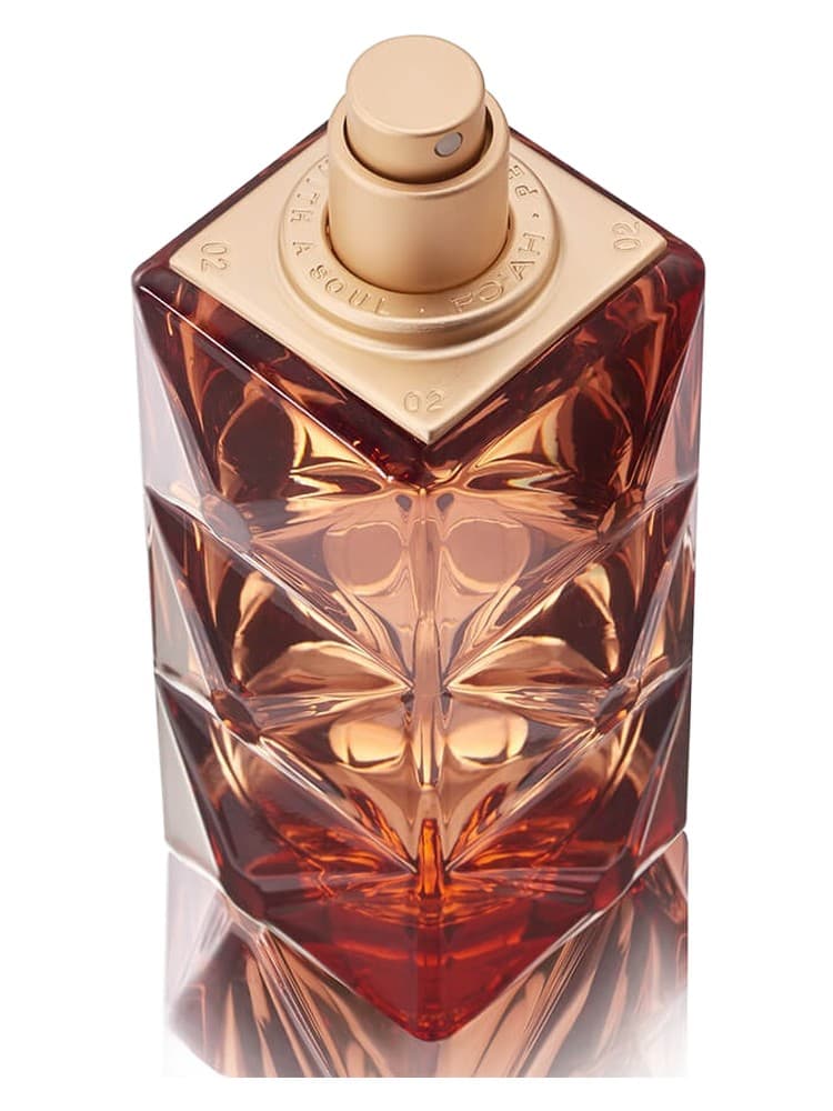 Memoires d une Palmeraie 14