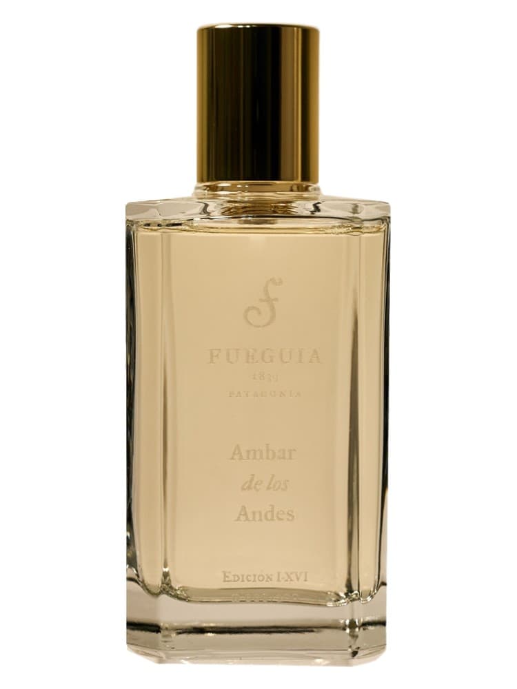 Ambar de los Andes