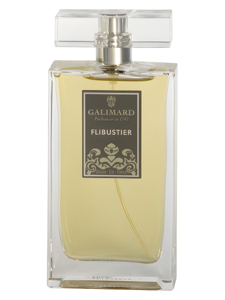 Flibustier