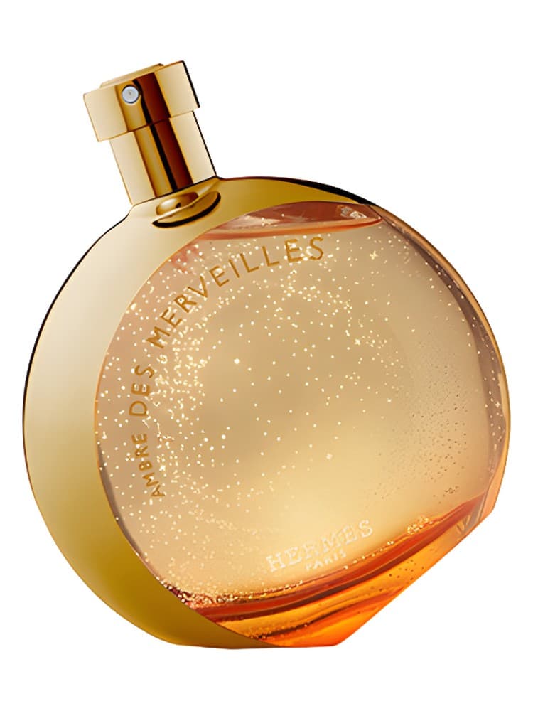 L Ambre des Merveilles Limited Edition Collector