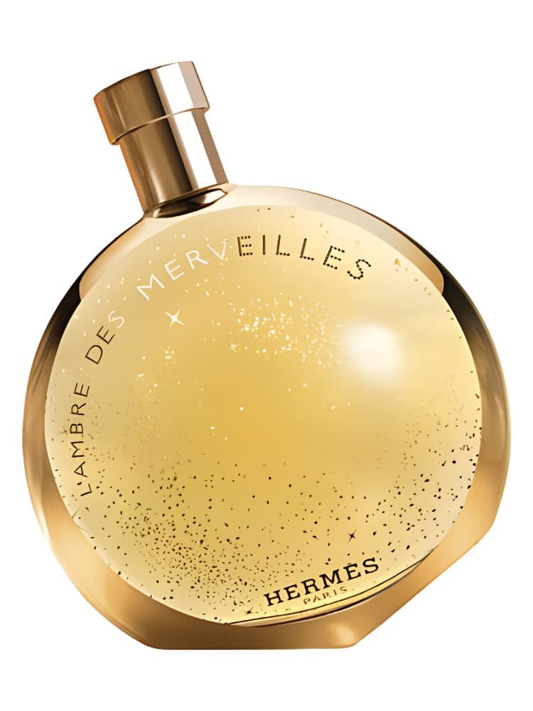 L Ambre des Merveilles