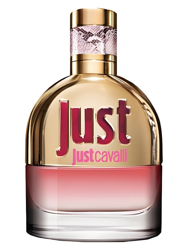 Just Cavalli