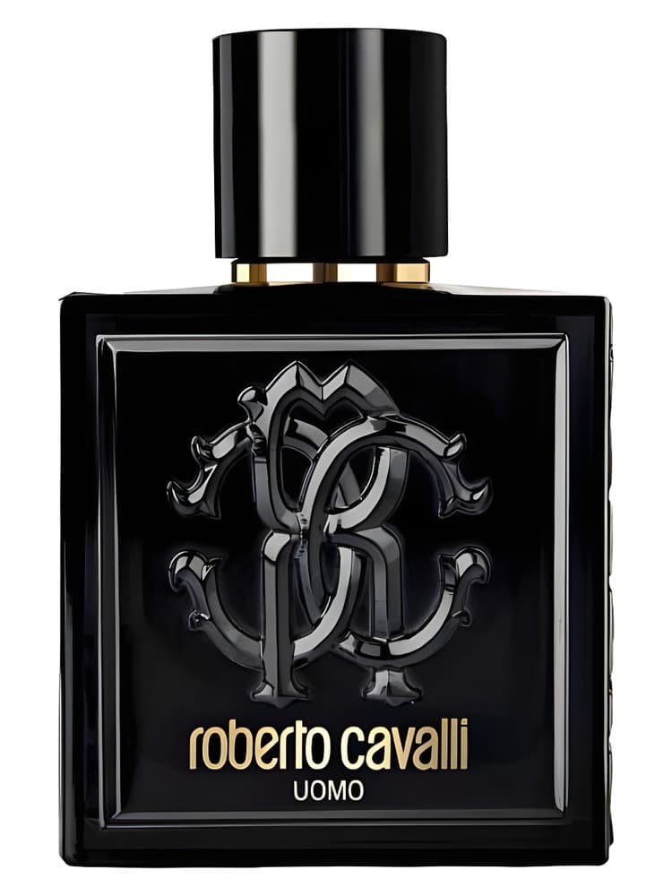 Roberto Cavalli Uomo