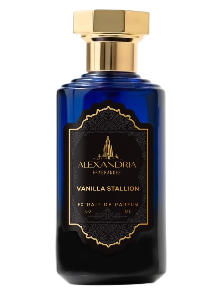 Vanilla Stallion