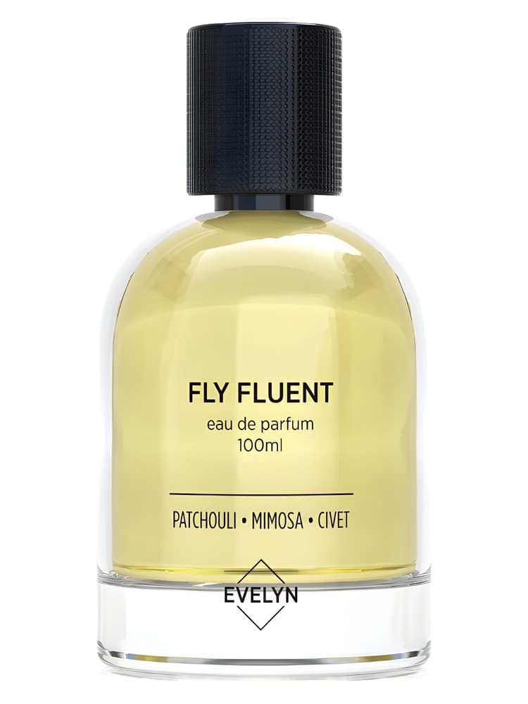 Fly Fluent