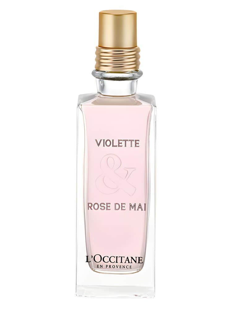 Violette Rose de Mai