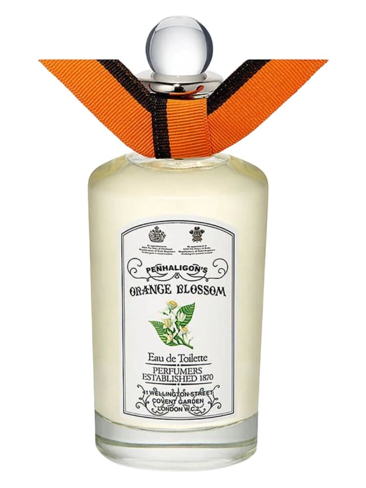 Orange Blossom