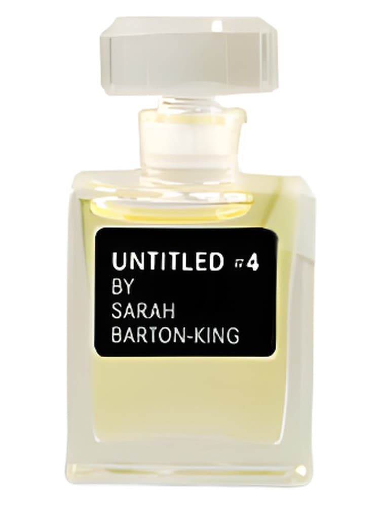 UNTITLED No 4 by Sarah Barton King