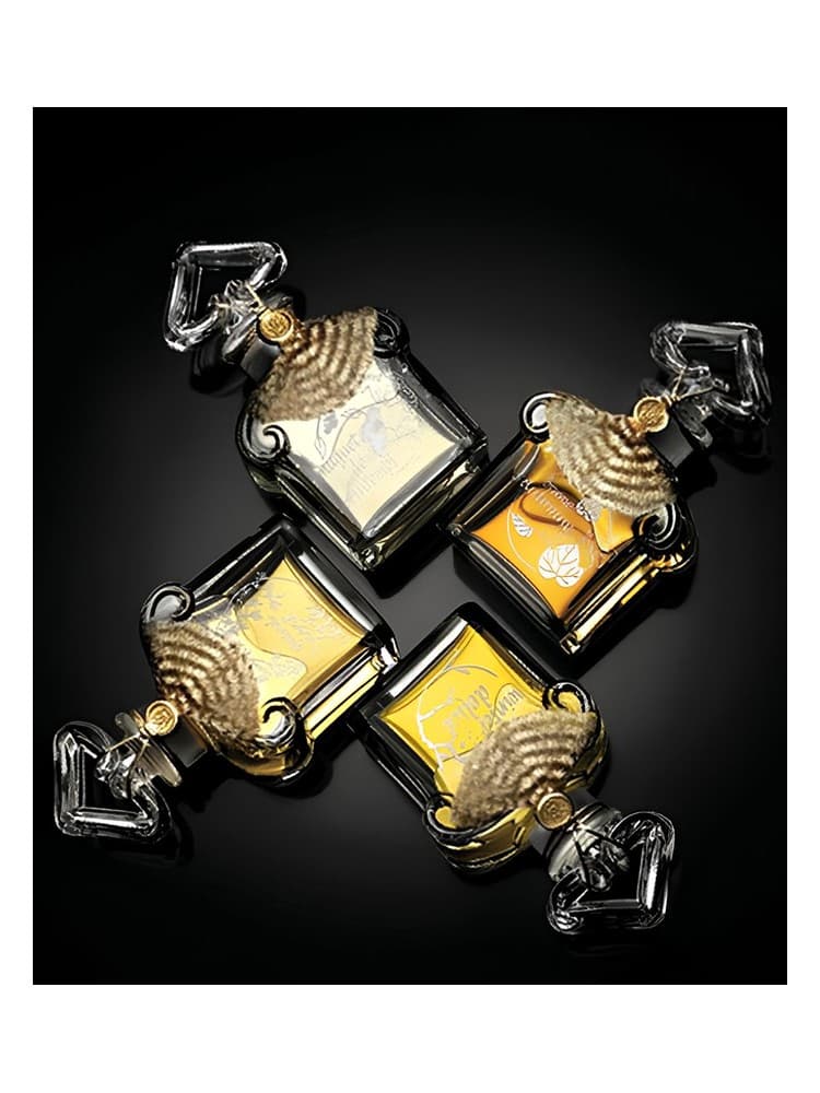 Les Quatre Saisons Quant Vient L Ete