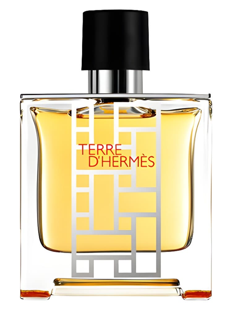 Terre d Hermes flacon H 2013